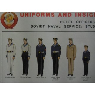 Chart 8 Details 1