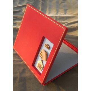 13b, 1973-, smooth Back, in special Case for Unit Awards