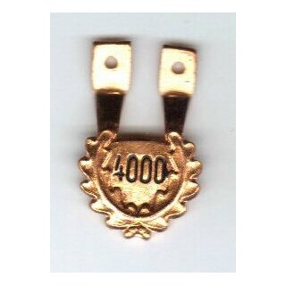 4000 Jumps