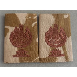 Warrant Officer 1 - Master Gunner 1st Class, Paar, facing Guns