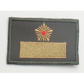Marschall der DDR